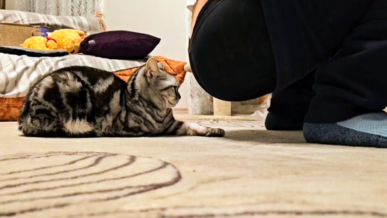 Japan vs Korea(double)