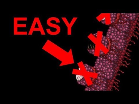 Terraria Modded (Calamity and SacredTools): How to easily beat Wall of Flesh on Revengeance Mode!