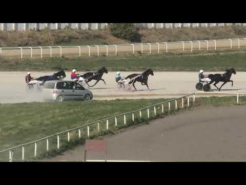 Trka "Državno prvenstvo za grla od 2.godine” 20.10.2019 Sarah Vaughan A.T. - Josip Gabrić ml.