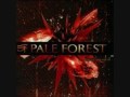 Mistaken Identity - Pale Forest