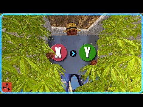 Learn Crossbreeding🌱 in Rust in Just 90 Seconds!