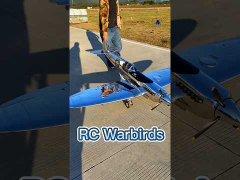 Do you like this 2000usd RC warbird? #rcplanes #scalemodel #hobby #p51mustang