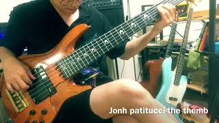 John patitucci - the themb