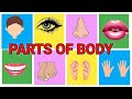 Learn Body Parts In English And Hindi Educational Video For Kids ️