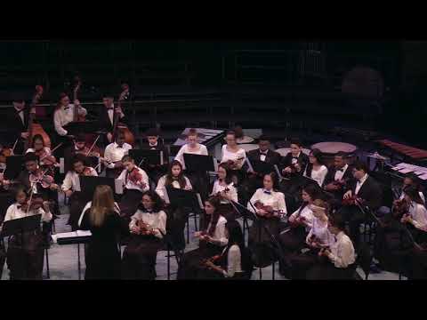 UDHS 2019 Pops Concert - Orchestra - Over the Rainbow