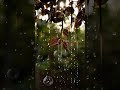 Shorts Vettam Movie Song ️ Bgm