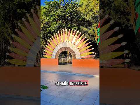 UNA DE LAS MEJORES PLAZAS DEL BENI #Moxos