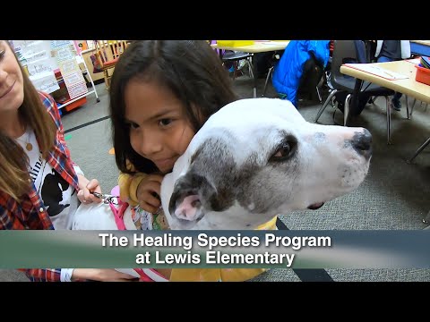 ‘Healing Species’ Program Brings Four-Legged Teachers to Spring ISD Students