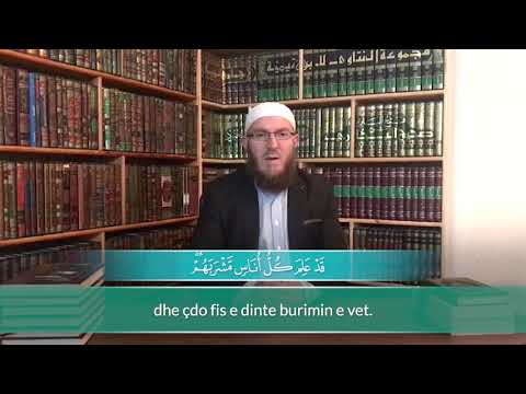 09. Hfz. Bedri Robaj   El Bekare (58- 61)