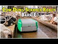 Cow Dung Cleaning Robot Barn E Cow Manure Scraper