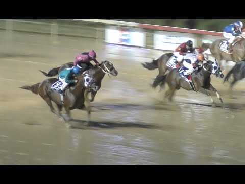 2020 Tx Classic Futurity(G1)- StallioneSearch.com