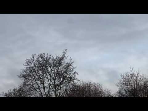 Trapskar - Uwięziony ekstrawertyk