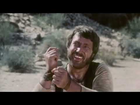 Three Bullets    for a Long Gun