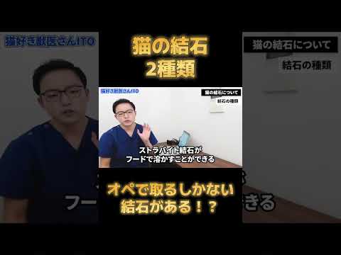 猫の尿中の結晶 - 種類、症状、治療法