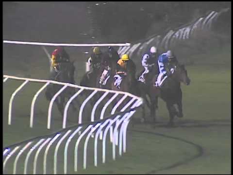 Galoppo 24/02/2015 - 6° corsa