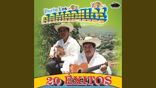 Tu Amante Apasionado Music Video