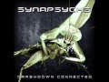 Synapsyche - Hyperfuck 