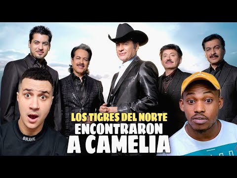 CUBANOS REACCIONAN a Los Tigres Del Norte - Encontraron A Camelia [1978]