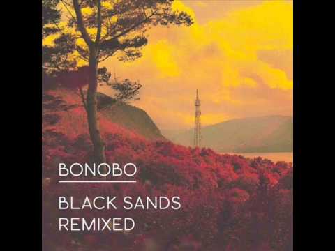 Bonobo_Stay the same (Mark Pritchard Remix).wmv