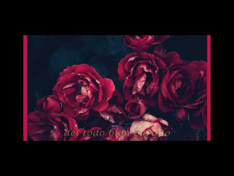 Hechizo De Brujas - Melina López