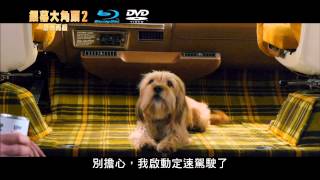 銀幕大角頭2：傳奇再續Anchorman：The Legend Continues 藍光/DVD/go movie 中文預告