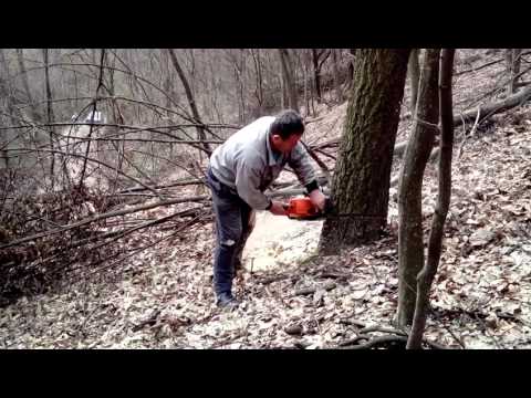 Vojo Crnogorac Arilje