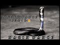 Lofi Musics - Nagin Dance( Snake Music ) Offical Music ) - [Copyright Free]