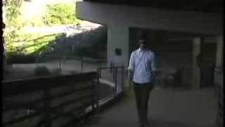 Sarbatoarea Noptilor de Vara