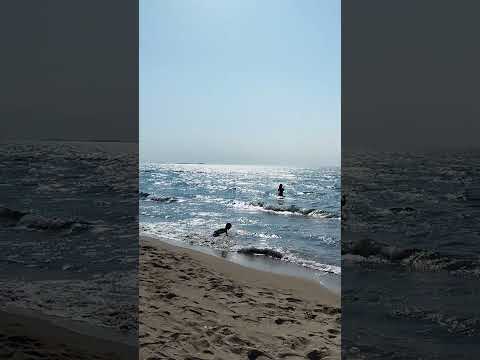 Super Gajde, by Fero. With 4k nature panorama / D. Murtishi, October 2023