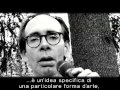 Arto Lindsay [Italian Subtitles]