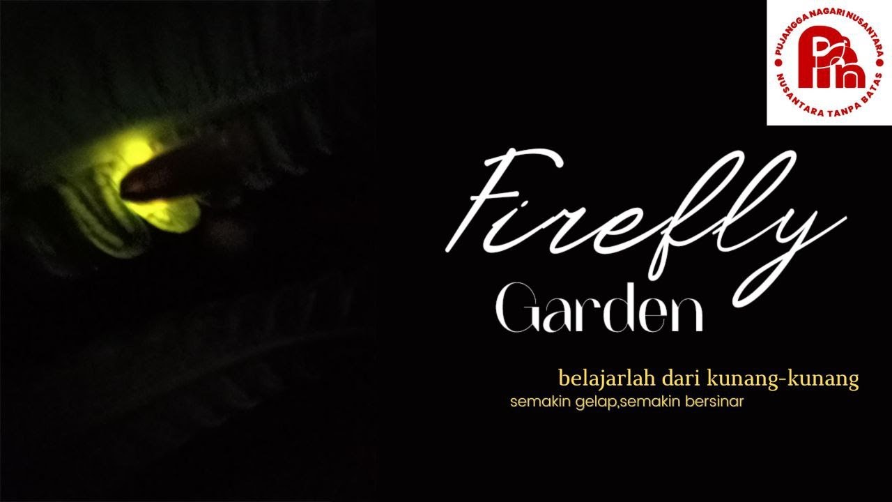 Firefly Garden, Light in the Darkness