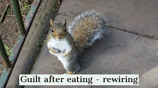 Guilt after eating - rewiring