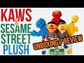 View 21 Kaws Sesame Street Plush