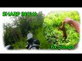 Great Accuracy First Video Hunting