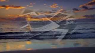 Sinead O&#39;Connor -Sacrifice-