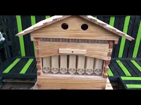 How to assemble a your hive