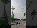 International KITE FESTIVAL CERVIA RAVENNA ITALY 2023