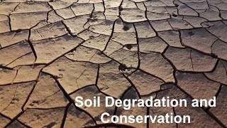 Environmental Science 10 (Soil Degradation and Conservation)