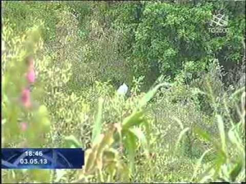 Ragazza strangolata a Livorno. Servizio di Massimiliano Cochi