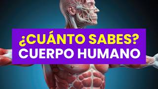 50 Preguntas del CUERPO HUMANO Sin Opciones 🫀🤓 - ¿Cuánto Sabes del Cuerpo Humano? | 50 Preguntas ✅