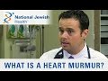 What Is A Heart Murmur