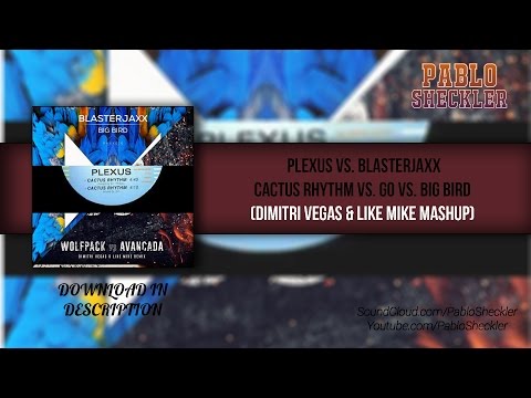 Big Bird vs. Cactus Rhythm vs. Go! (Dimitri Vegas & Like Mike Mashup)
