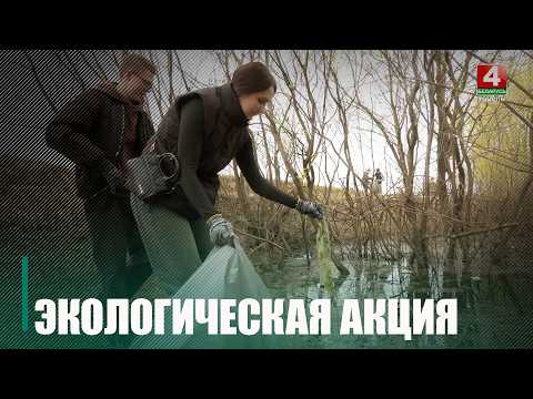 Гомельщина присоединилась к экологической кампании «Беларусь синеокая» видео