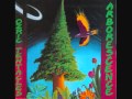 Ozric Tentacles. Al Salooq