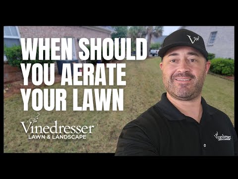 When Should You Aerate Your Lawn