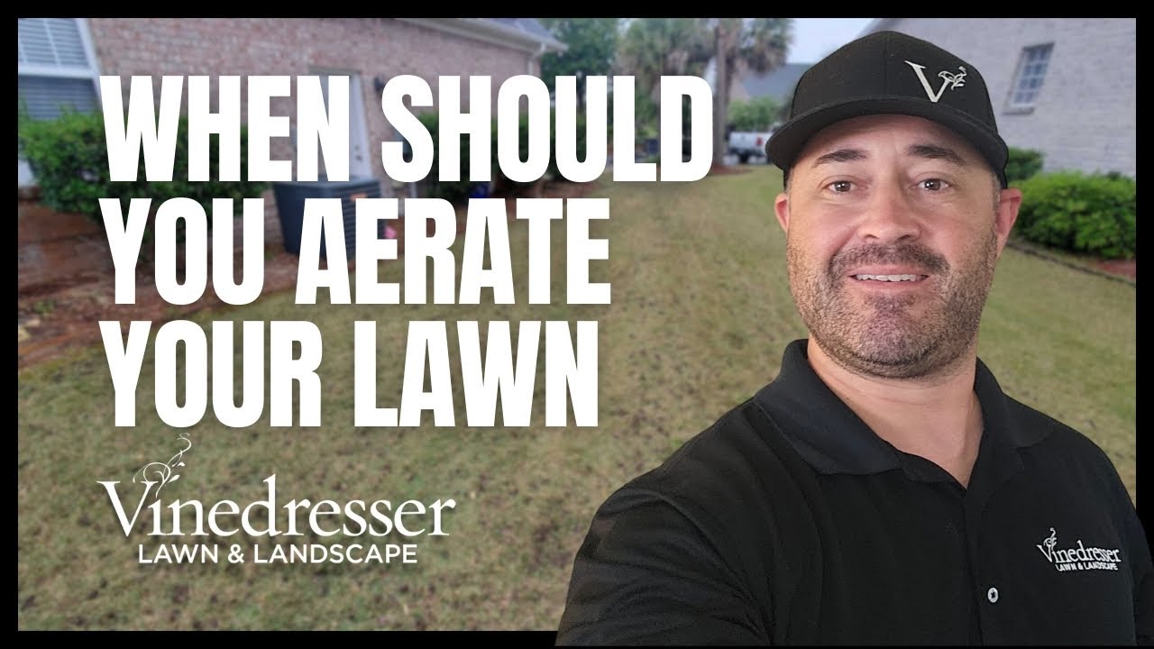 When Should You Aerate Your Lawn