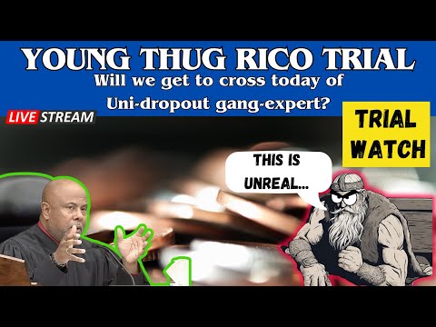 Young Thug RICO Trial: University dropout "gang expert" still testifying.