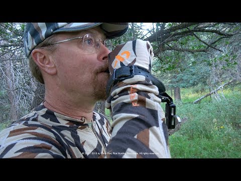 Hunting Pressured Bulls on Colorado Public Land - Mid-September Archery 6x6 at 17 Yards!