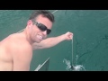 Mackerel Time