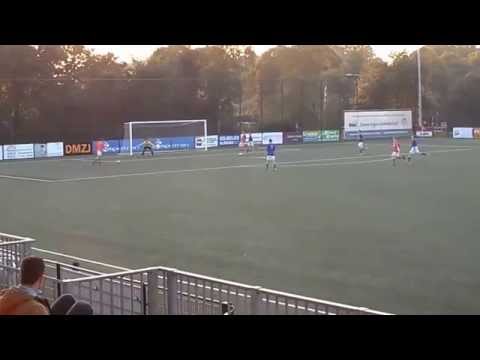 Samenvatting Orion A4   Woezik A3